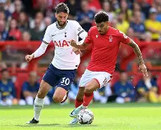 热刺英超击败布莱顿，孙兴慜进球(英超孙兴慜闪击 凯恩助攻 热刺20胜曼城升榜首)